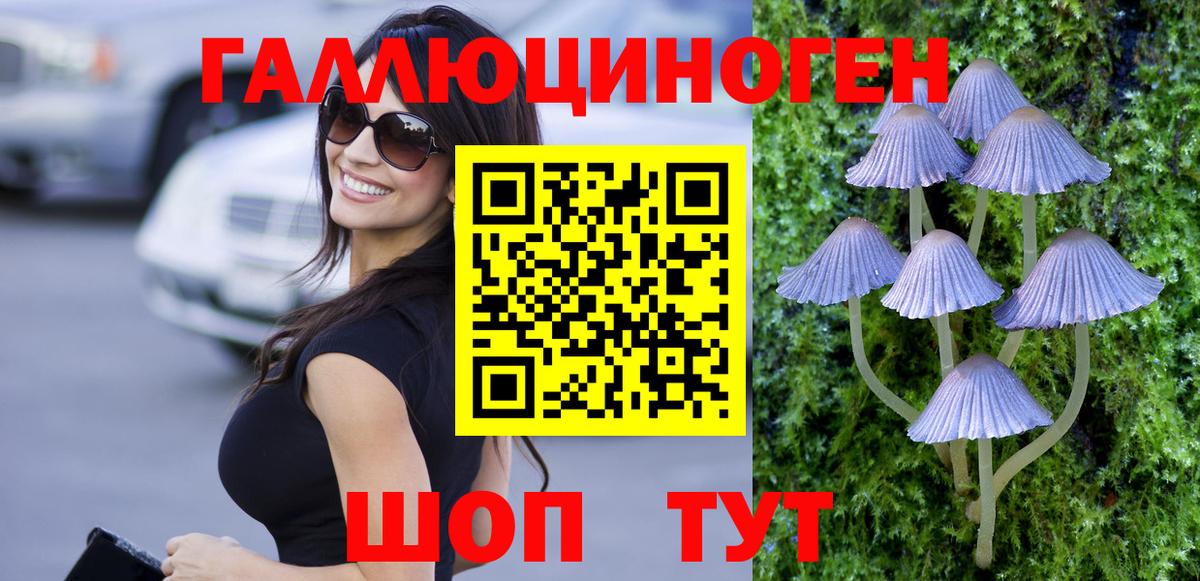 Псилоцибиновые грибы Psilocybe  купить наркоту  Гурьевск  Вход с VPN 